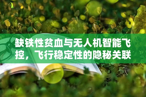 缺铁性贫血与无人机智能飞控，飞行稳定性的隐秘关联？