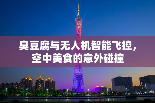 臭豆腐与无人机智能飞控，空中美食的意外碰撞