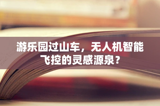 游乐园过山车，无人机智能飞控的灵感源泉？