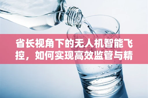 省长视角下的无人机智能飞控，如何实现高效监管与精准调度？