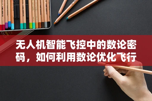 无人机智能飞控中的数论密码，如何利用数论优化飞行路径？