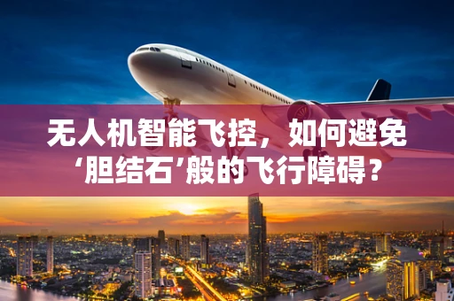 无人机智能飞控，如何避免‘胆结石’般的飞行障碍？