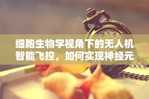 细胞生物学视角下的无人机智能飞控，如何实现神经元般的反应速度？