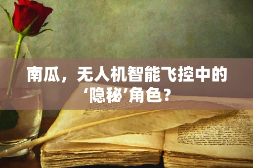 南瓜，无人机智能飞控中的‘隐秘’角色？