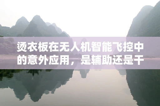 烫衣板在无人机智能飞控中的意外应用，是辅助还是干扰？