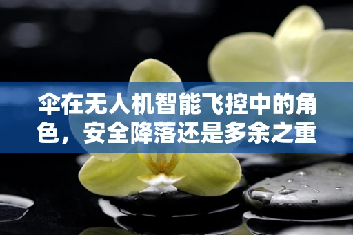 伞在无人机智能飞控中的角色，安全降落还是多余之重？
