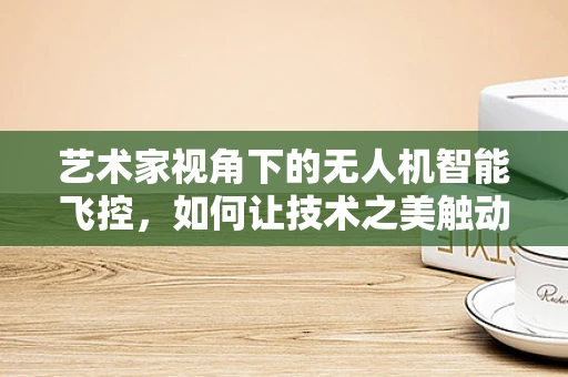 艺术家视角下的无人机智能飞控，如何让技术之美触动人心？