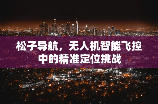 松子导航，无人机智能飞控中的精准定位挑战