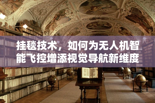 挂毯技术，如何为无人机智能飞控增添视觉导航新维度？
