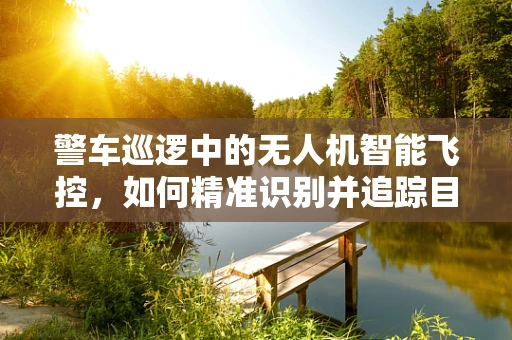 警车巡逻中的无人机智能飞控，如何精准识别并追踪目标？