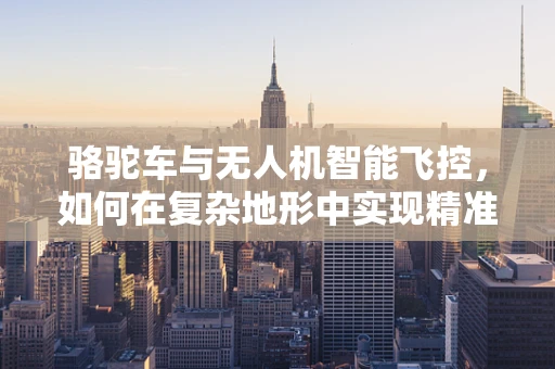 骆驼车与无人机智能飞控，如何在复杂地形中实现精准导航？