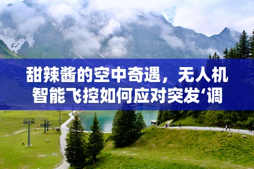 甜辣酱的空中奇遇，无人机智能飞控如何应对突发‘调味’挑战？