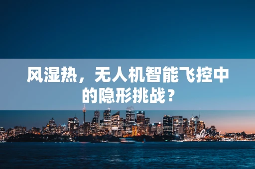 风湿热，无人机智能飞控中的隐形挑战？