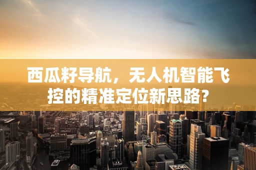 西瓜籽导航，无人机智能飞控的精准定位新思路？