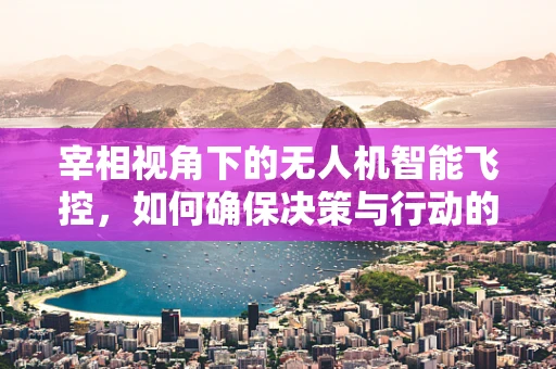 宰相视角下的无人机智能飞控，如何确保决策与行动的精准匹配？