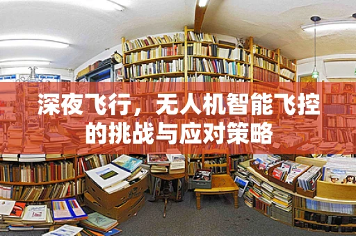 深夜飞行，无人机智能飞控的挑战与应对策略