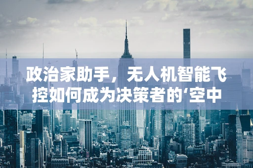 政治家助手，无人机智能飞控如何成为决策者的‘空中之眼’？
