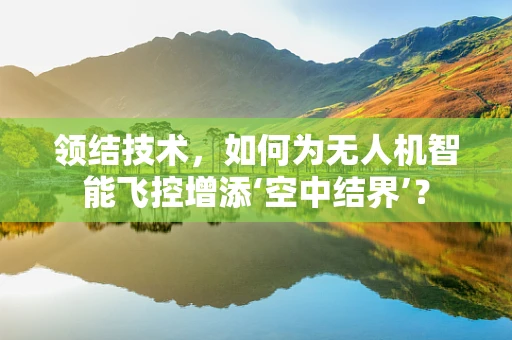 领结技术，如何为无人机智能飞控增添‘空中结界’？