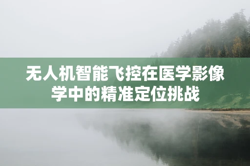无人机智能飞控在医学影像学中的精准定位挑战