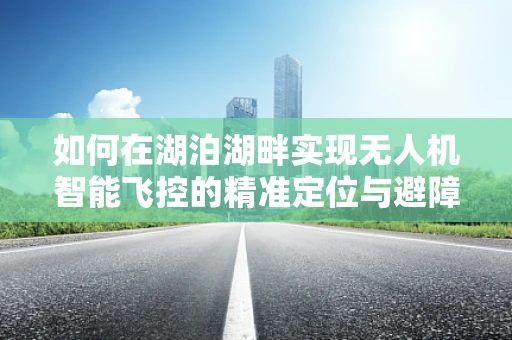 如何在湖泊湖畔实现无人机智能飞控的精准定位与避障？