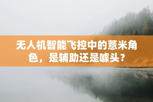 无人机智能飞控中的薏米角色，是辅助还是噱头？