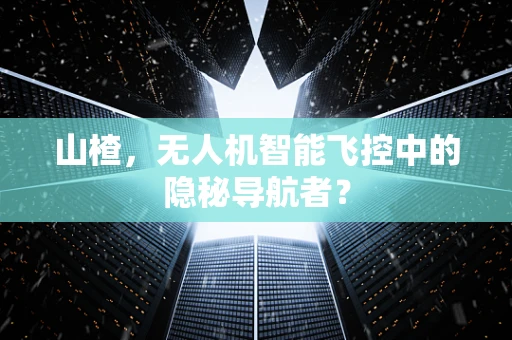 山楂，无人机智能飞控中的隐秘导航者？