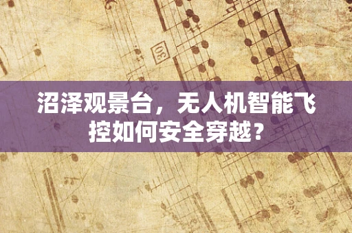 沼泽观景台，无人机智能飞控如何安全穿越？