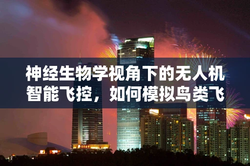 神经生物学视角下的无人机智能飞控，如何模拟鸟类飞行决策？