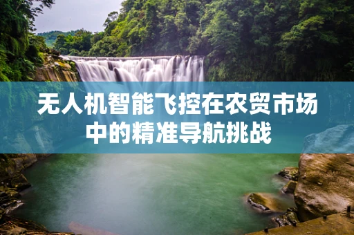 无人机智能飞控在农贸市场中的精准导航挑战