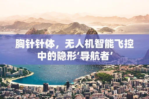 胸针针体，无人机智能飞控中的隐形‘导航者’