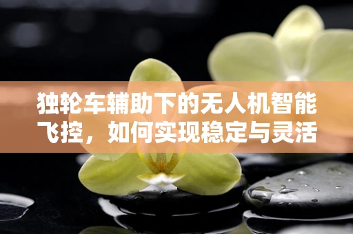独轮车辅助下的无人机智能飞控，如何实现稳定与灵活的完美平衡？