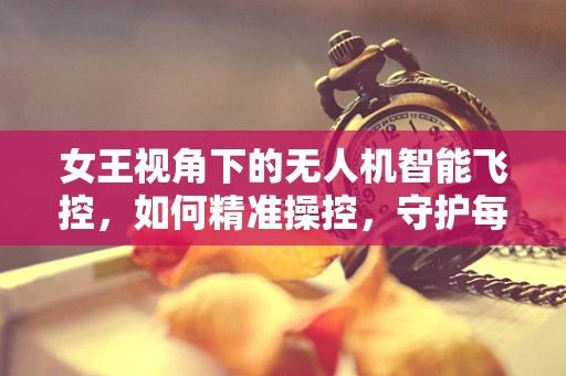 女王视角下的无人机智能飞控，如何精准操控，守护每一片天空？