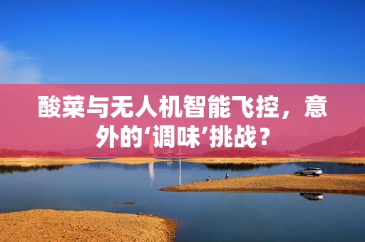 酸菜与无人机智能飞控，意外的‘调味’挑战？