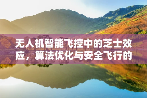 无人机智能飞控中的芝士效应，算法优化与安全飞行的甜蜜结合？