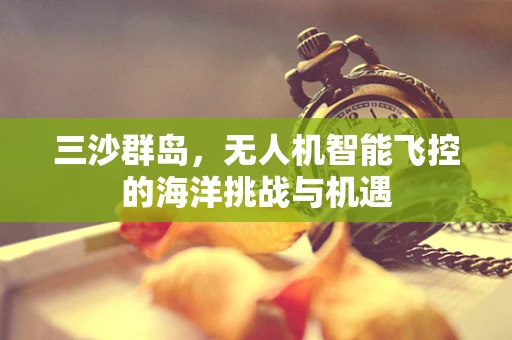 三沙群岛，无人机智能飞控的海洋挑战与机遇