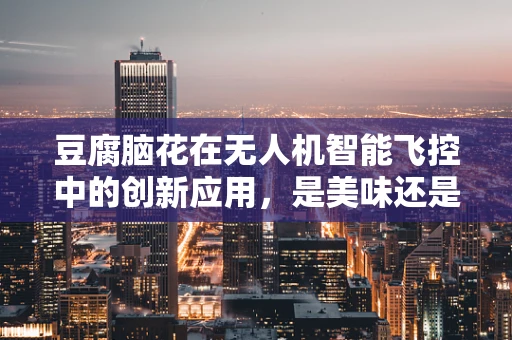 豆腐脑花在无人机智能飞控中的创新应用，是美味还是技术革新？