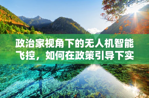政治家视角下的无人机智能飞控，如何在政策引导下实现技术革新？
