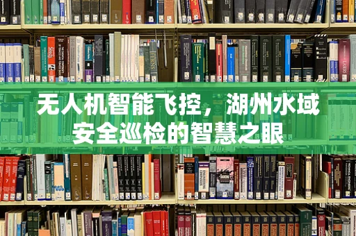 无人机智能飞控，湖州水域安全巡检的智慧之眼