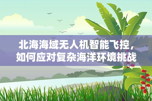 北海海域无人机智能飞控，如何应对复杂海洋环境挑战？