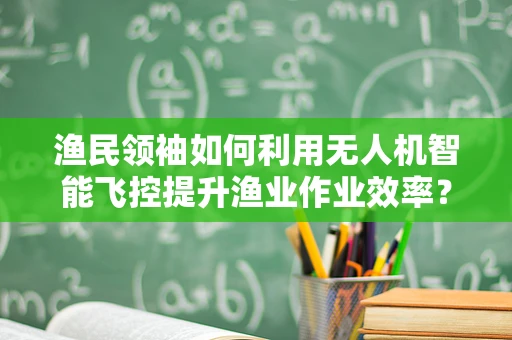 渔民领袖如何利用无人机智能飞控提升渔业作业效率？
