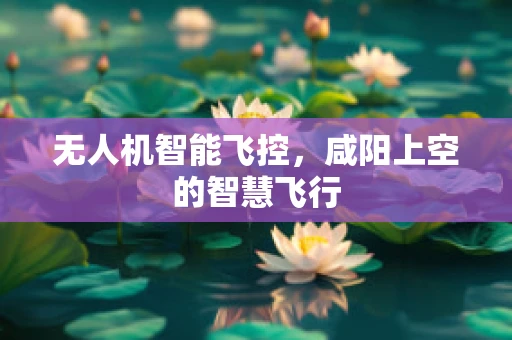 无人机智能飞控，咸阳上空的智慧飞行