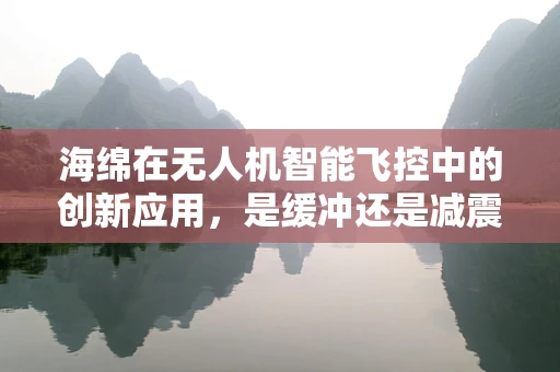 海绵在无人机智能飞控中的创新应用，是缓冲还是减震的智慧之选？