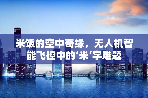 米饭的空中奇缘，无人机智能飞控中的‘米’字难题