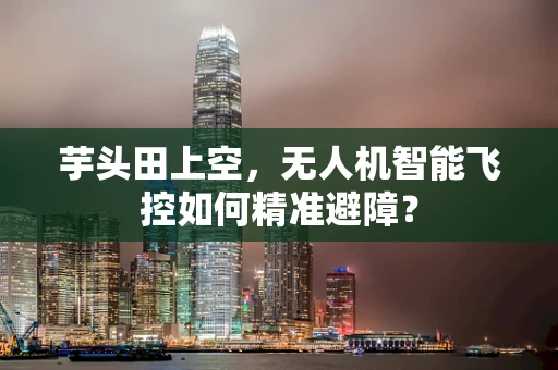 芋头田上空，无人机智能飞控如何精准避障？