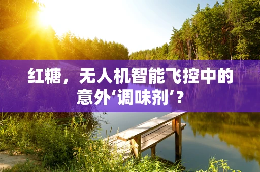 红糖，无人机智能飞控中的意外‘调味剂’？