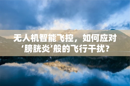 无人机智能飞控，如何应对‘膀胱炎’般的飞行干扰？