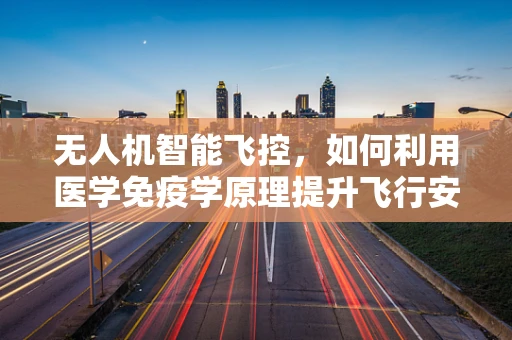 无人机智能飞控，如何利用医学免疫学原理提升飞行安全？