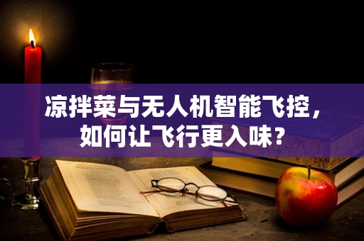 凉拌菜与无人机智能飞控，如何让飞行更入味？