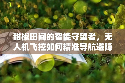 甜椒田间的智能守望者，无人机飞控如何精准导航避障？