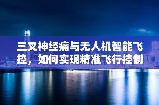 三叉神经痛与无人机智能飞控，如何实现精准飞行控制以减轻突发性疼痛？